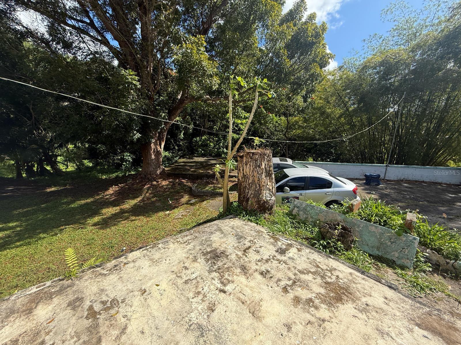 HUMACAO — foto 5