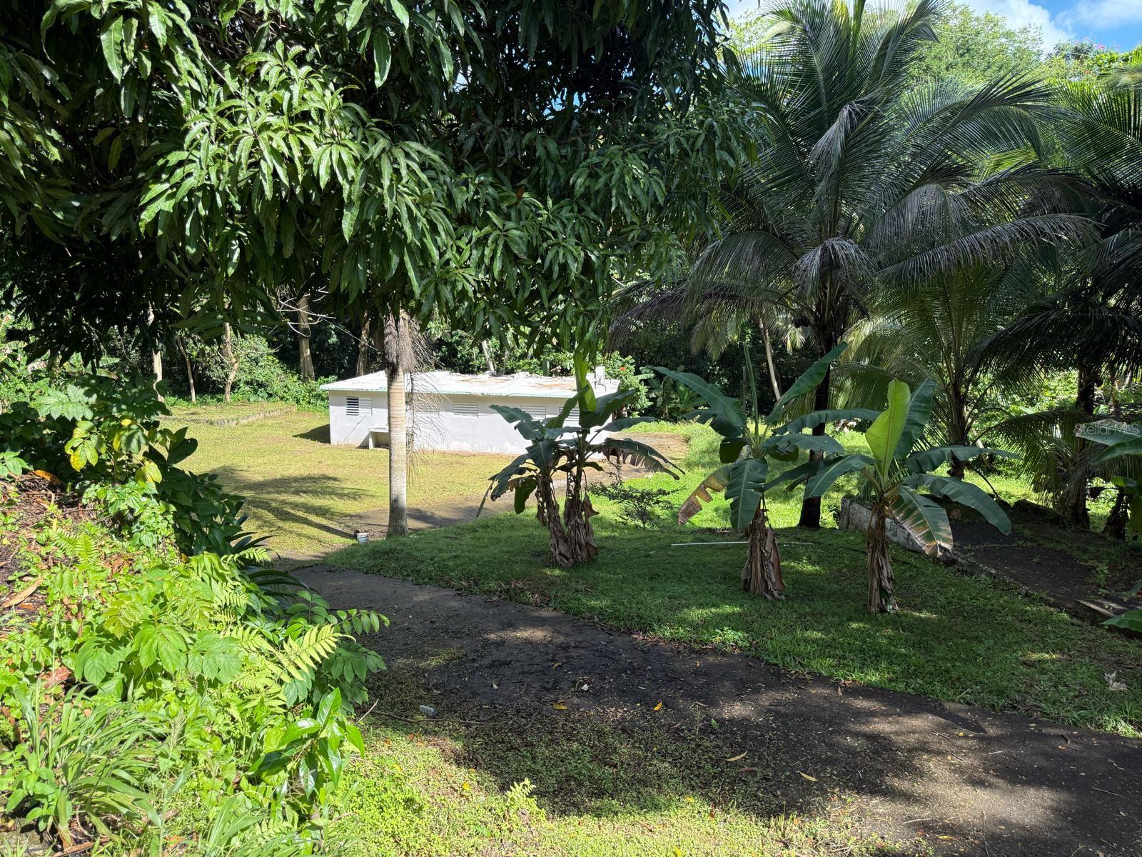 HUMACAO — foto 10