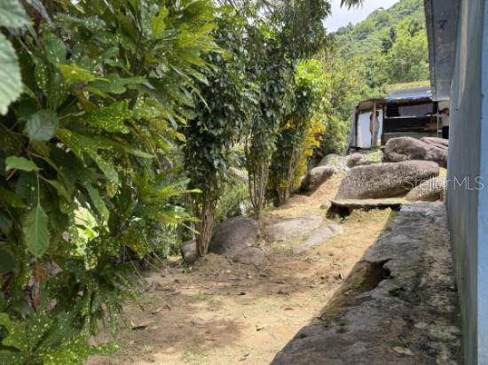 4 hab · 2 baños · YABUCOA — foto 7
