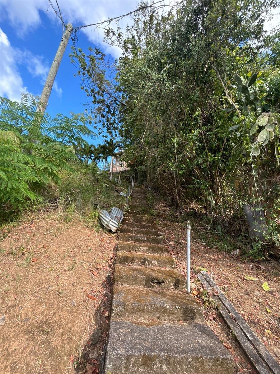3 hab · 1 baños · PATILLAS — foto 11