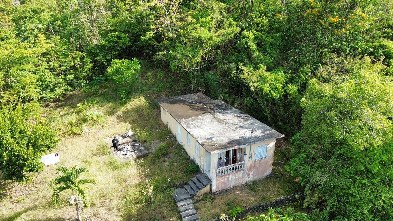 3 hab · 1 baños · PATILLAS — foto 6