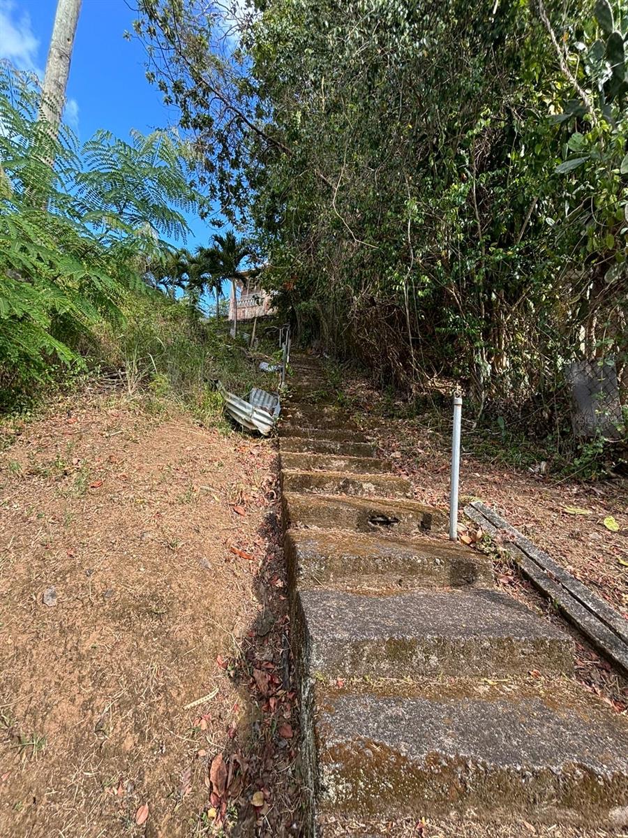 3 hab · 1 baños · PATILLAS — foto 10
