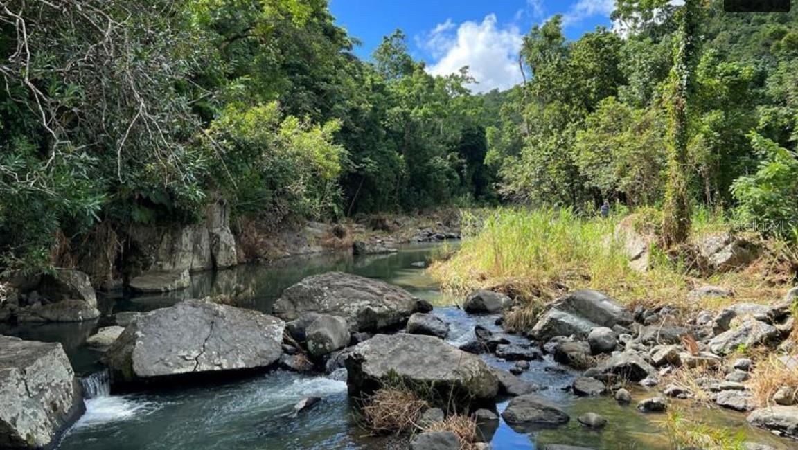 CANOVANAS — foto 2