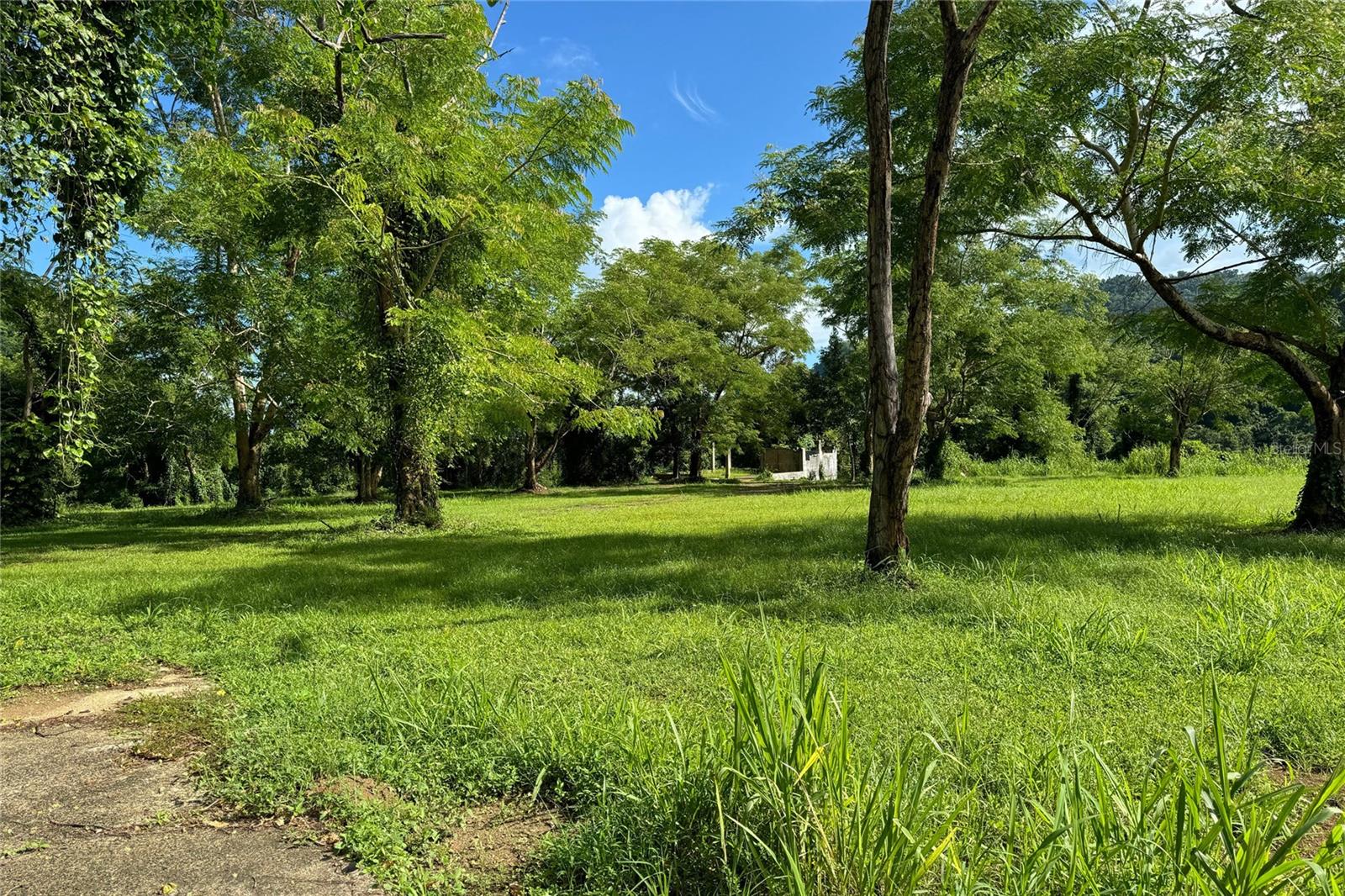 CANOVANAS — foto 11