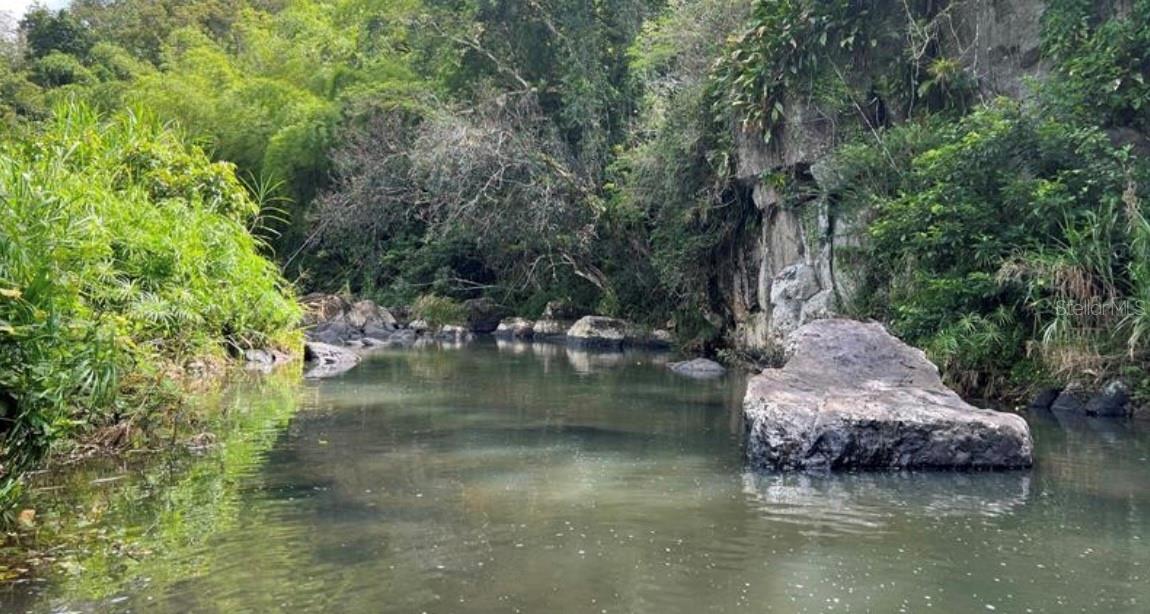 CANOVANAS — foto 6