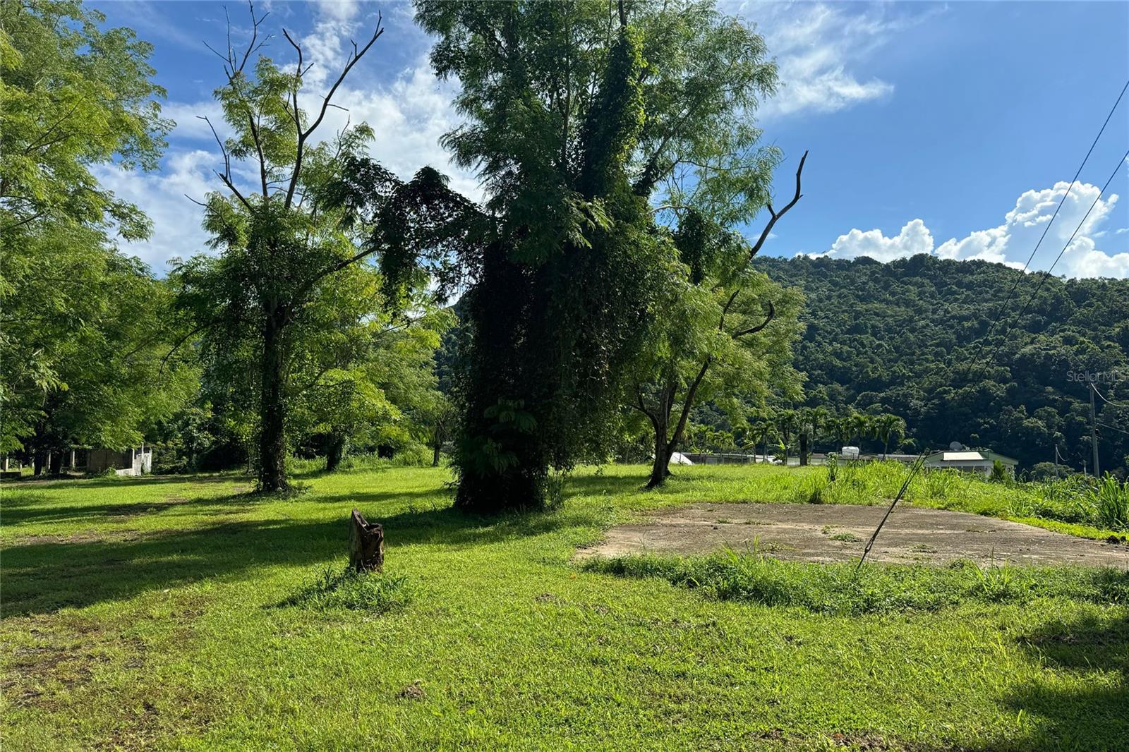 CANOVANAS — foto 10