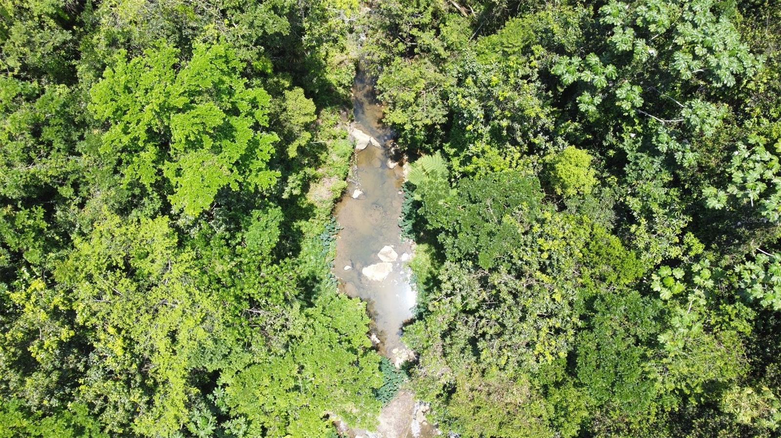 CAGUAS — foto 12