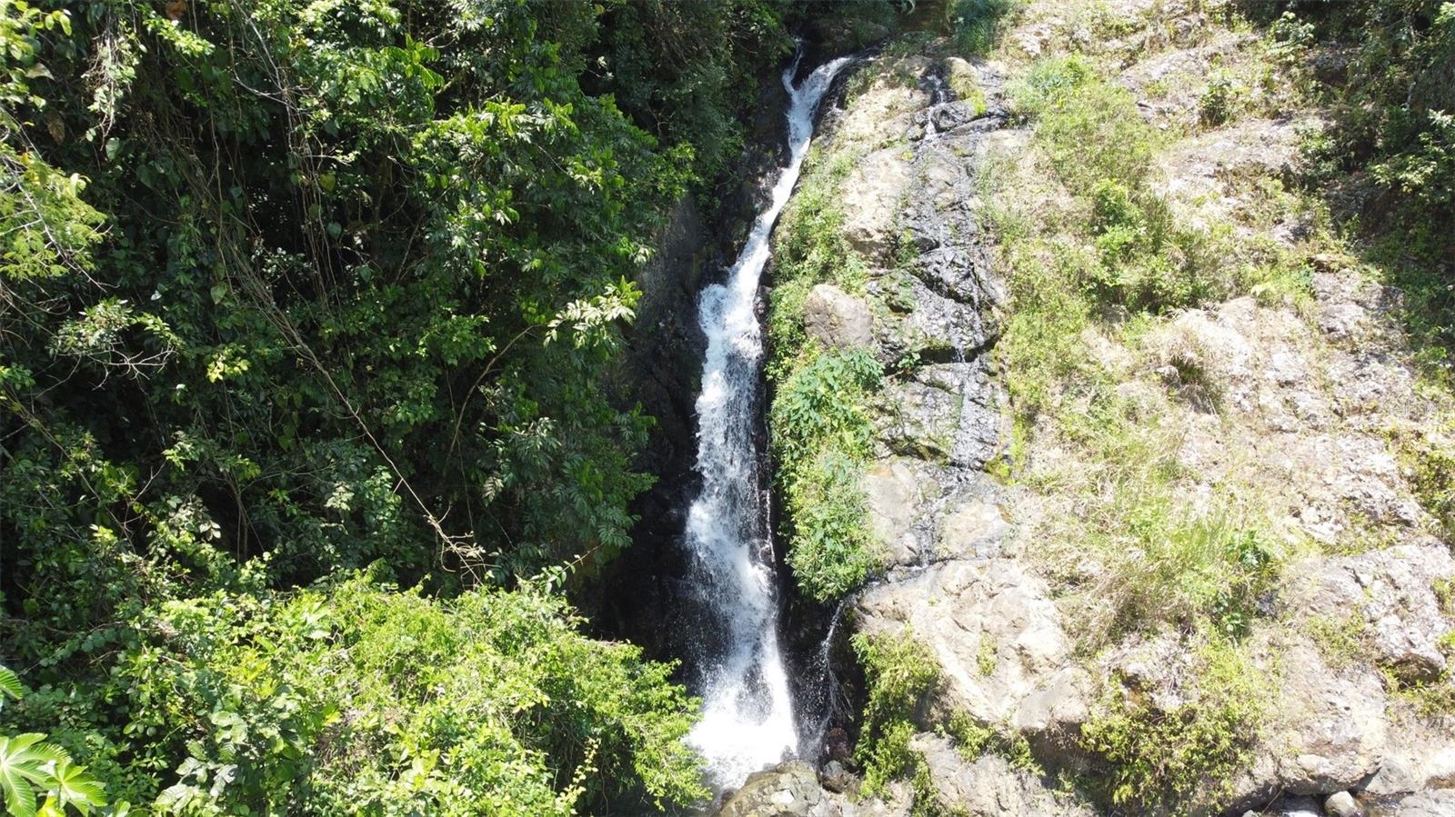 CAGUAS — foto 9