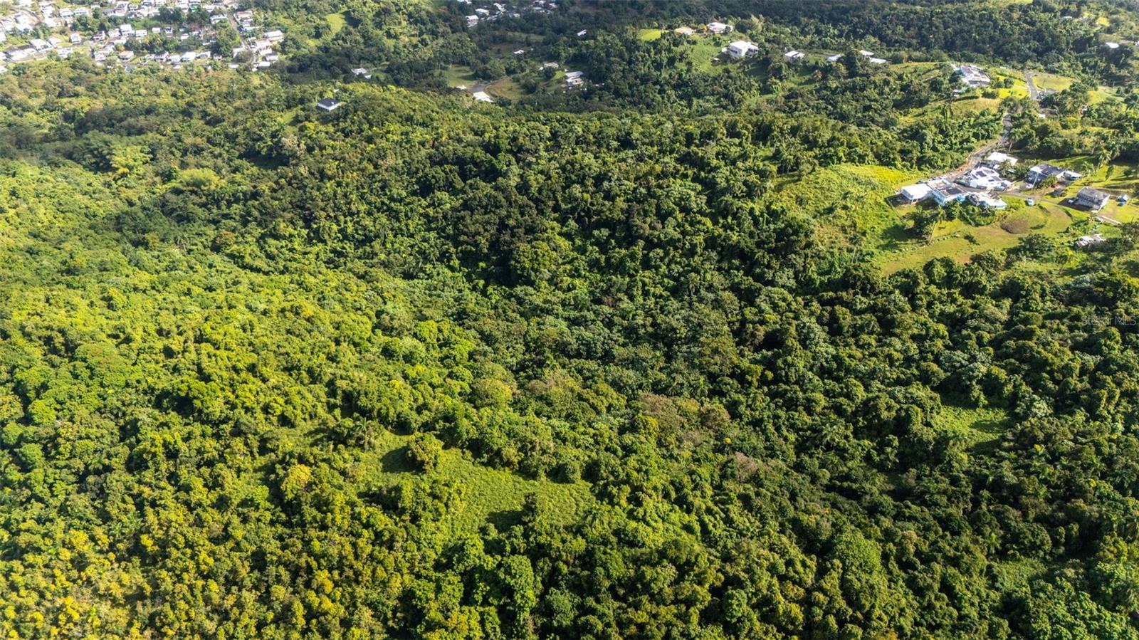 RIO GRANDE — foto 2
