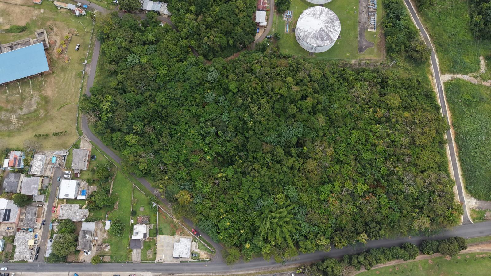 MANATI — foto 3