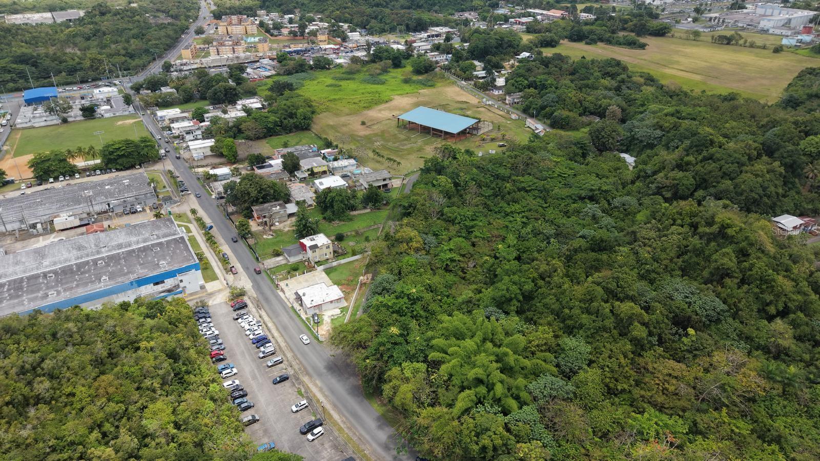 MANATI — foto 5