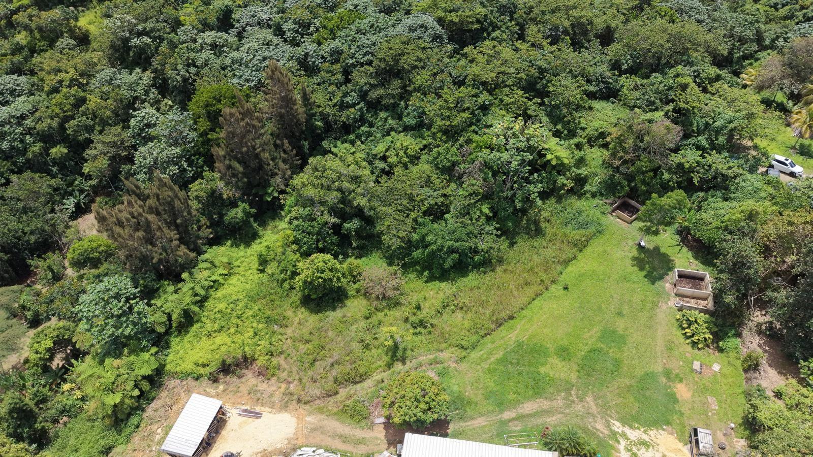 LARES — foto 2