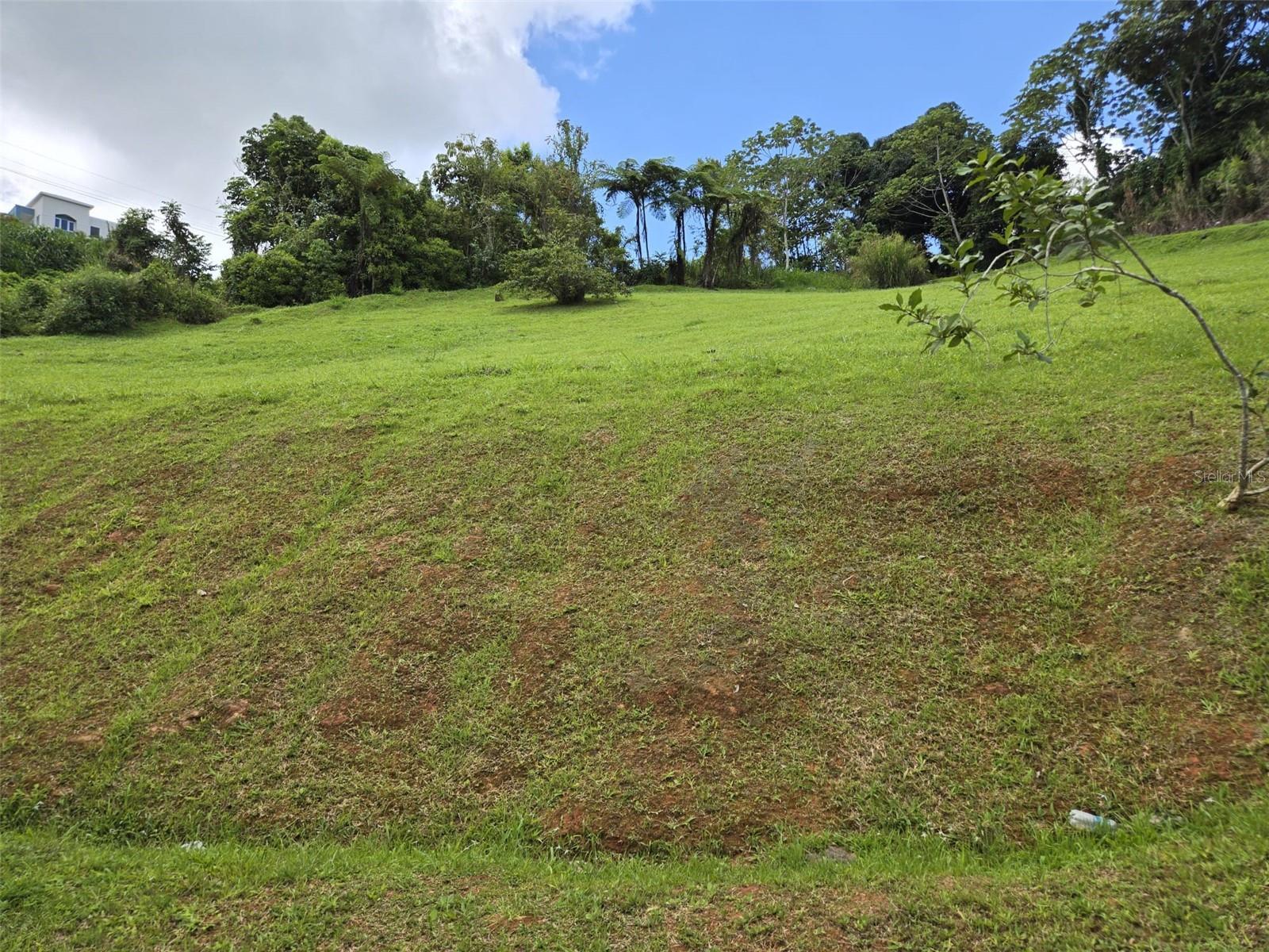 4 hab · 3 baños · NARANJITO — foto 5