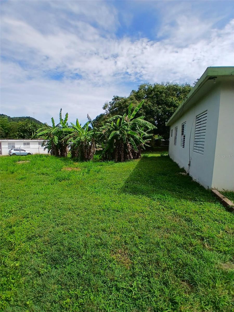 3 hab · 2 baños · YAUCO — foto 3