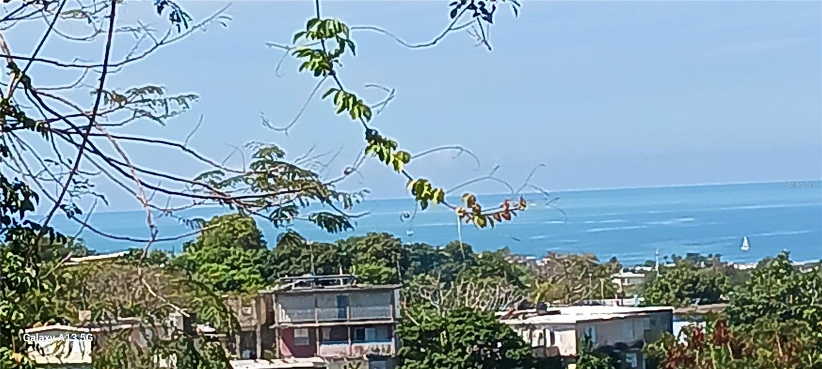 RINCON