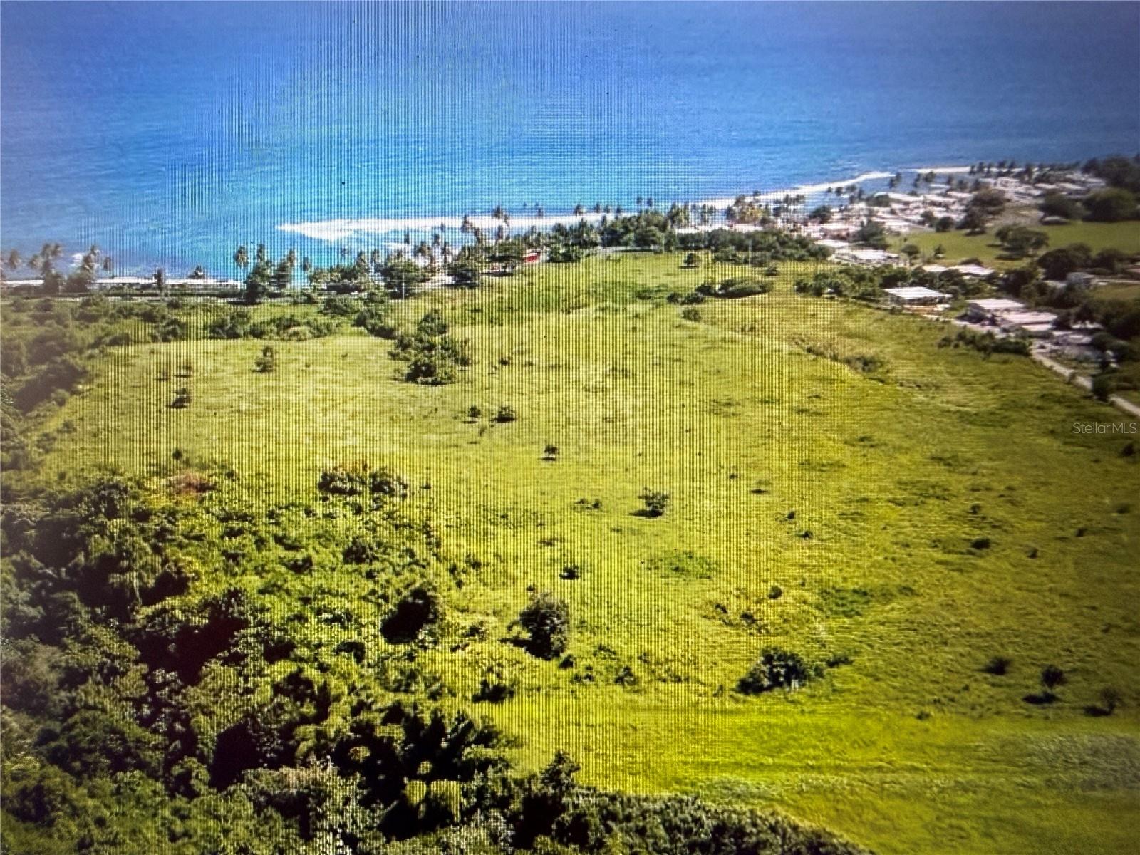 PATILLAS