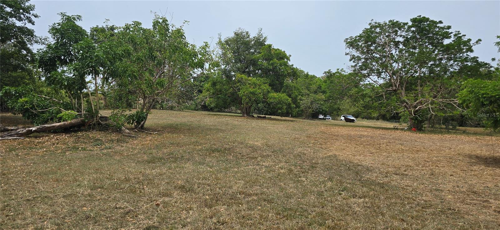 YABUCOA