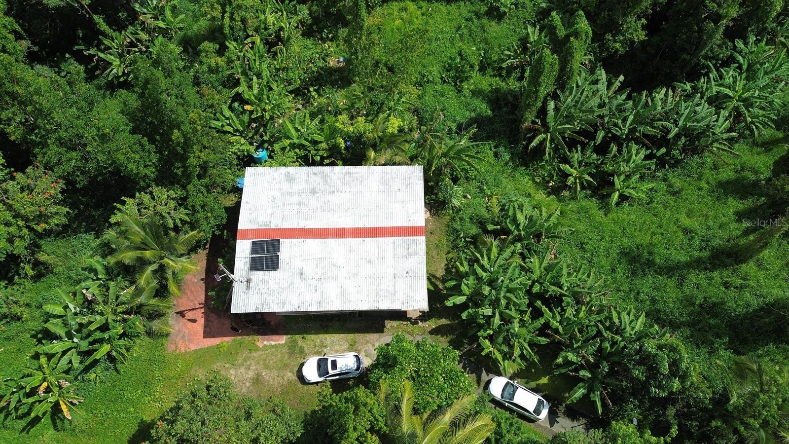 SAN LORENZO