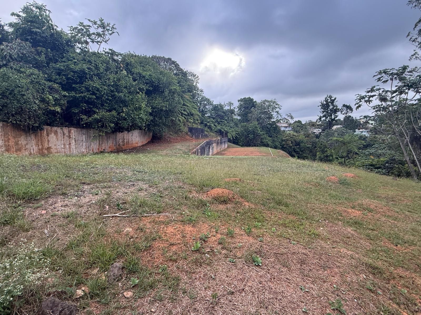 NARANJITO
