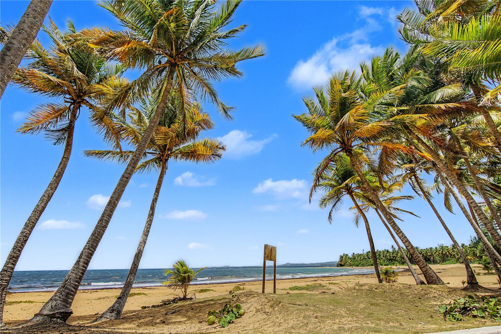1 hab · 1 baños · LUQUILLO