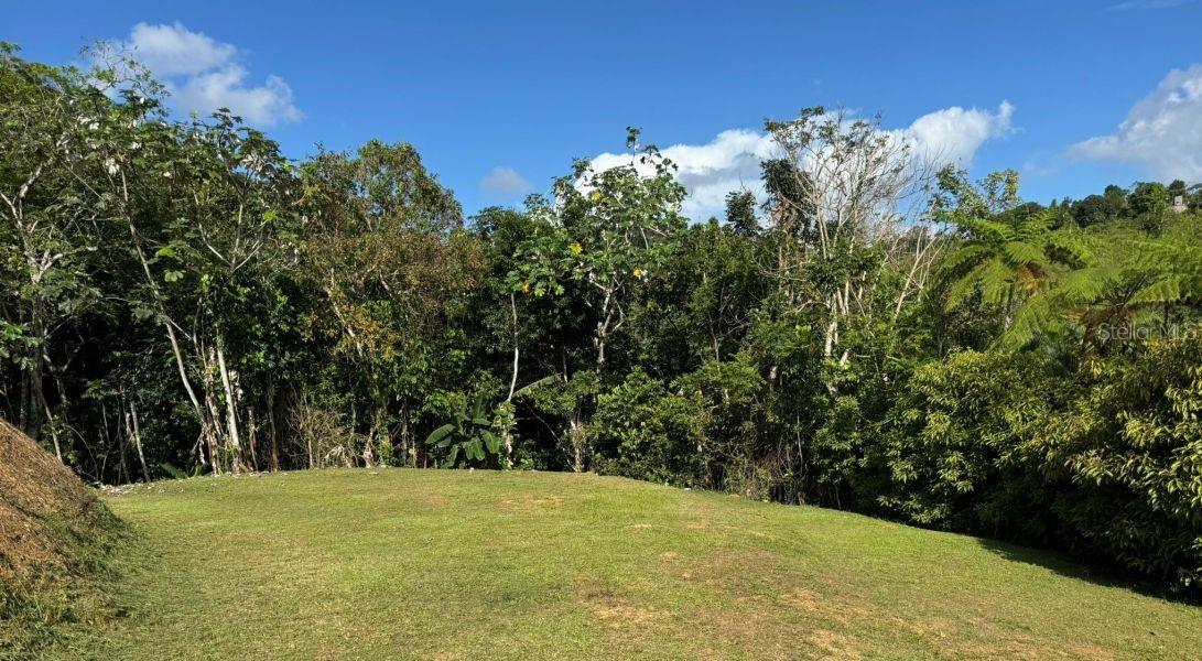 BAYAMON