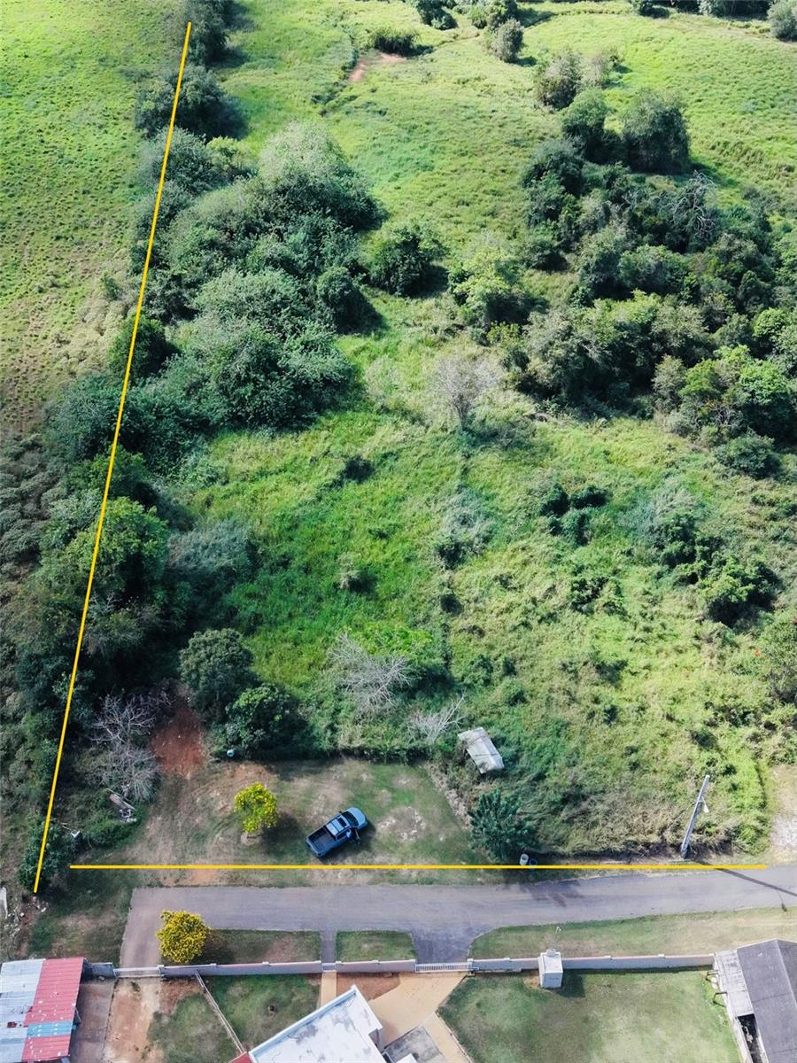 CAMUY — foto 2