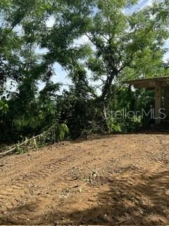 GURABO — foto 3