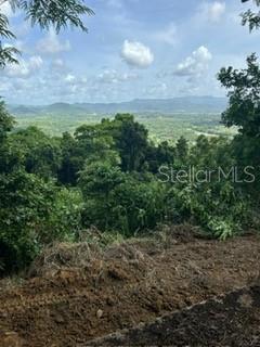 GURABO — foto 4