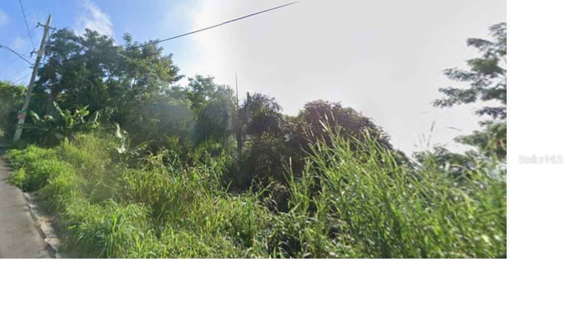 GURABO — foto 8