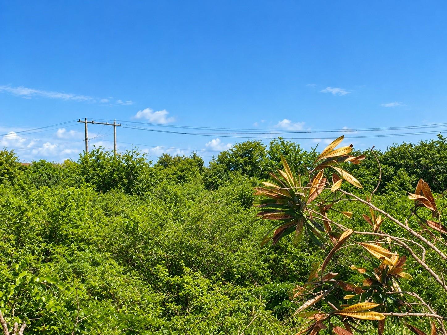 ARROYO