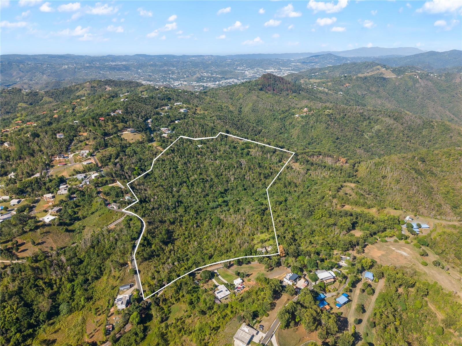 CAYEY