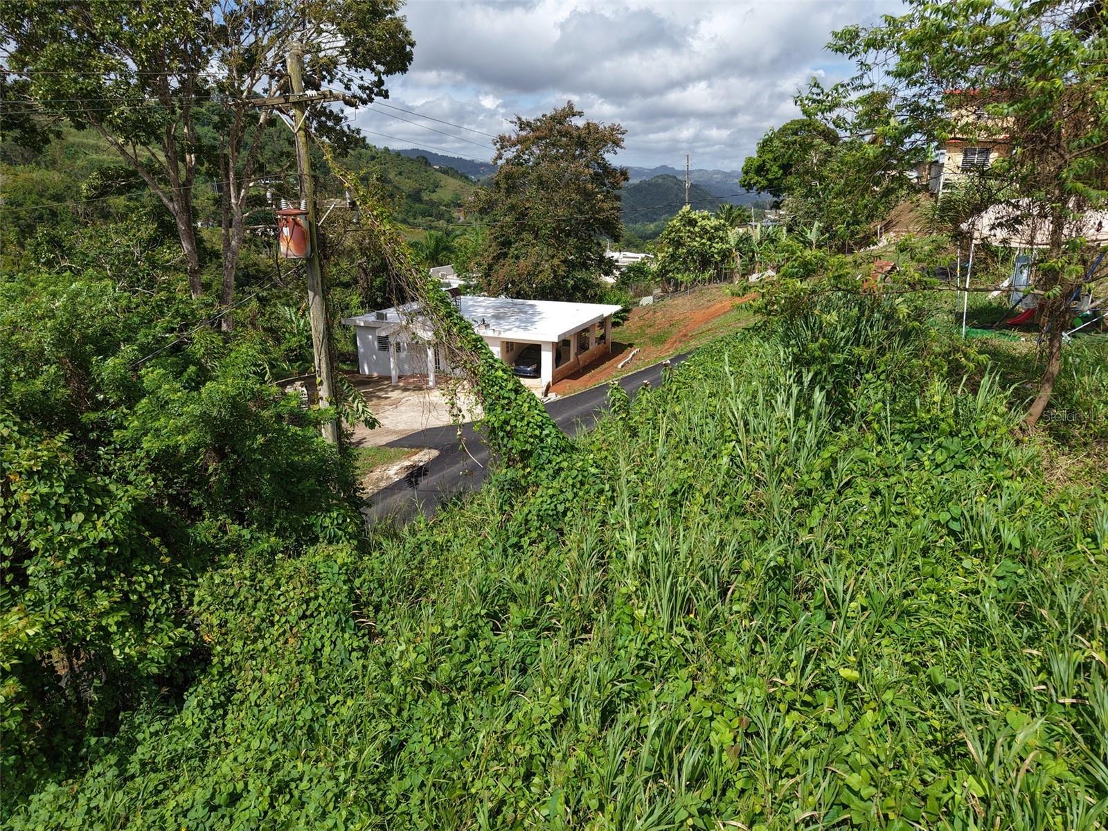BARRANQUITAS — foto 10