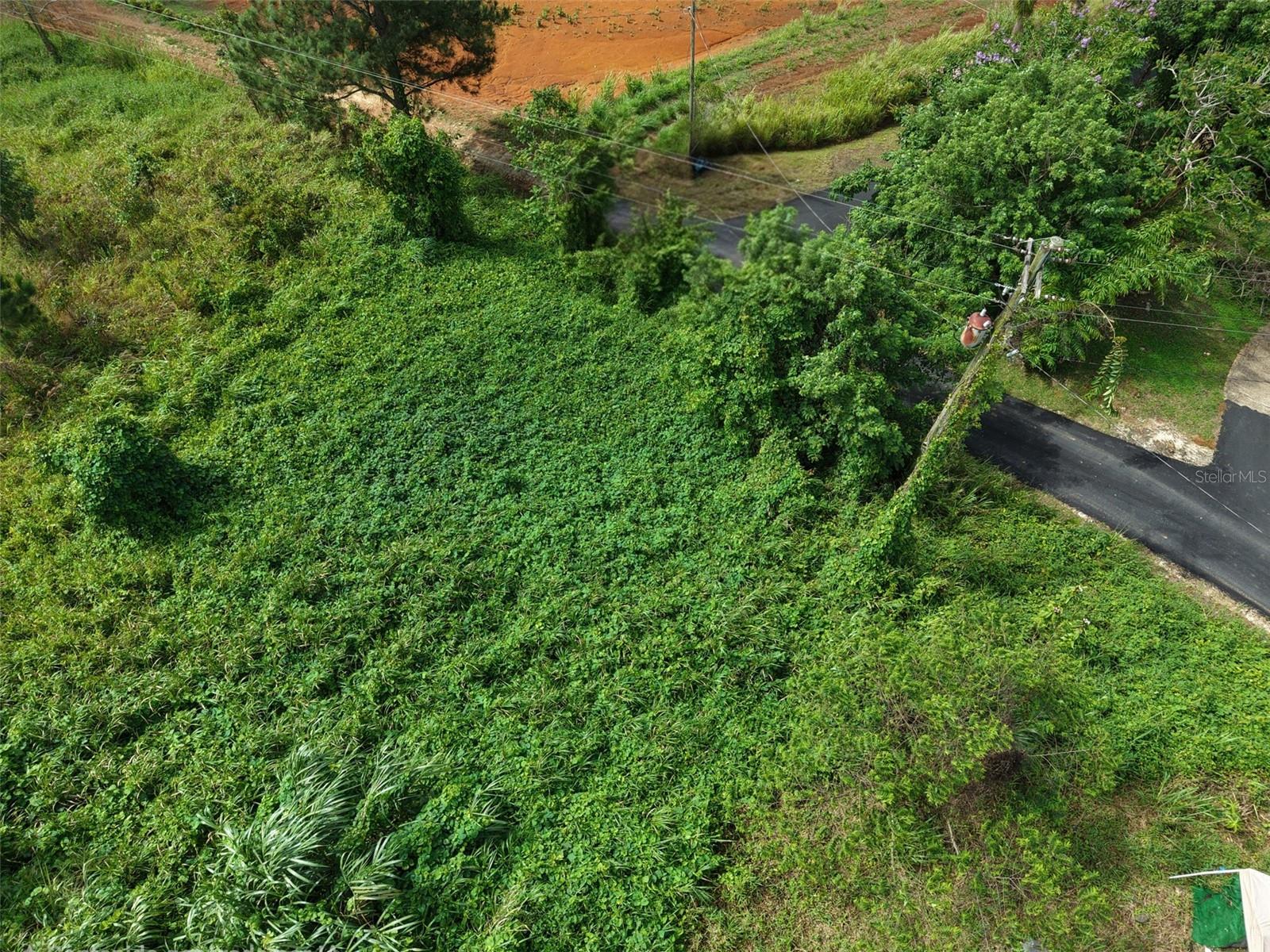 BARRANQUITAS — foto 11