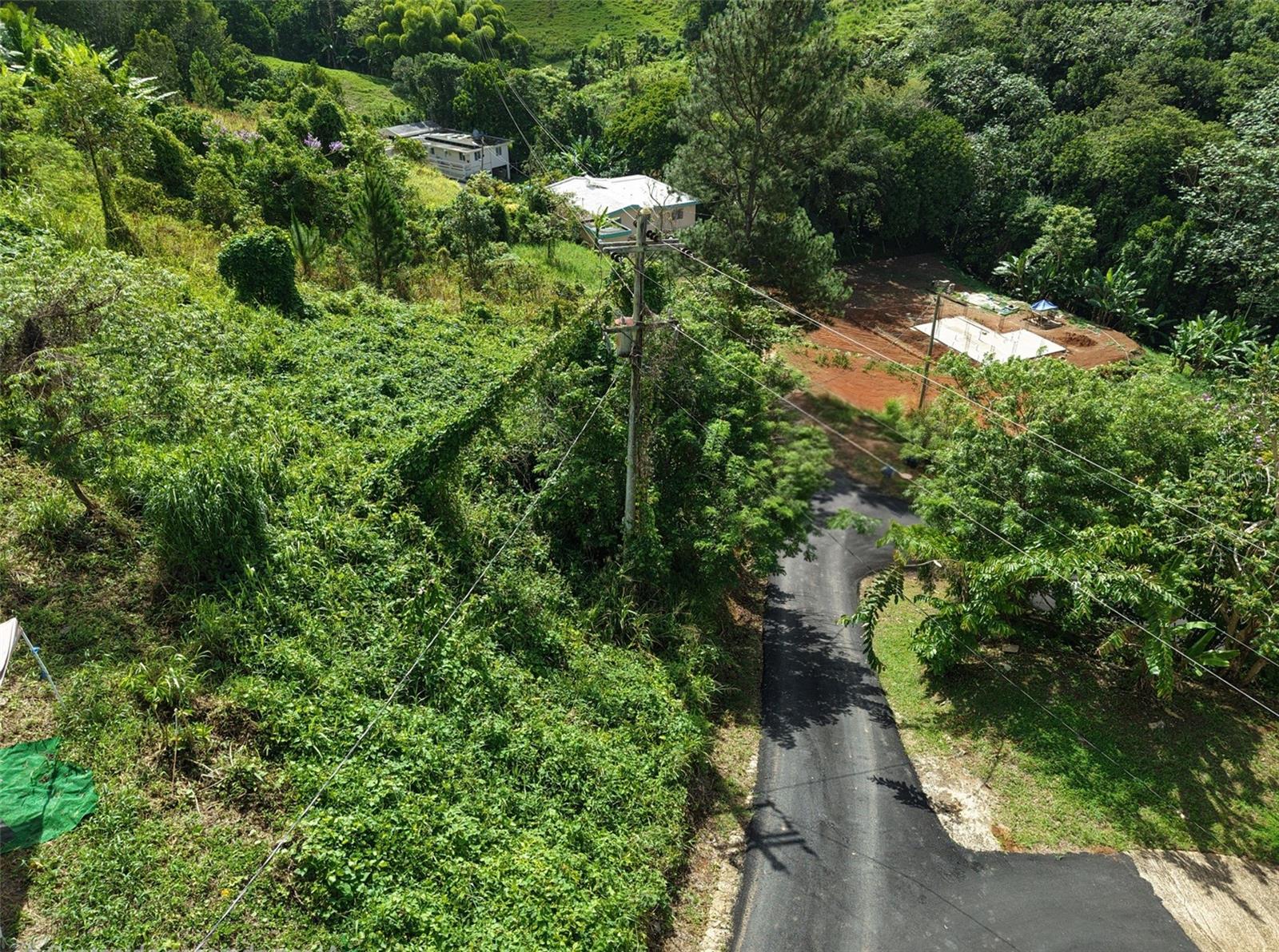 BARRANQUITAS — foto 3