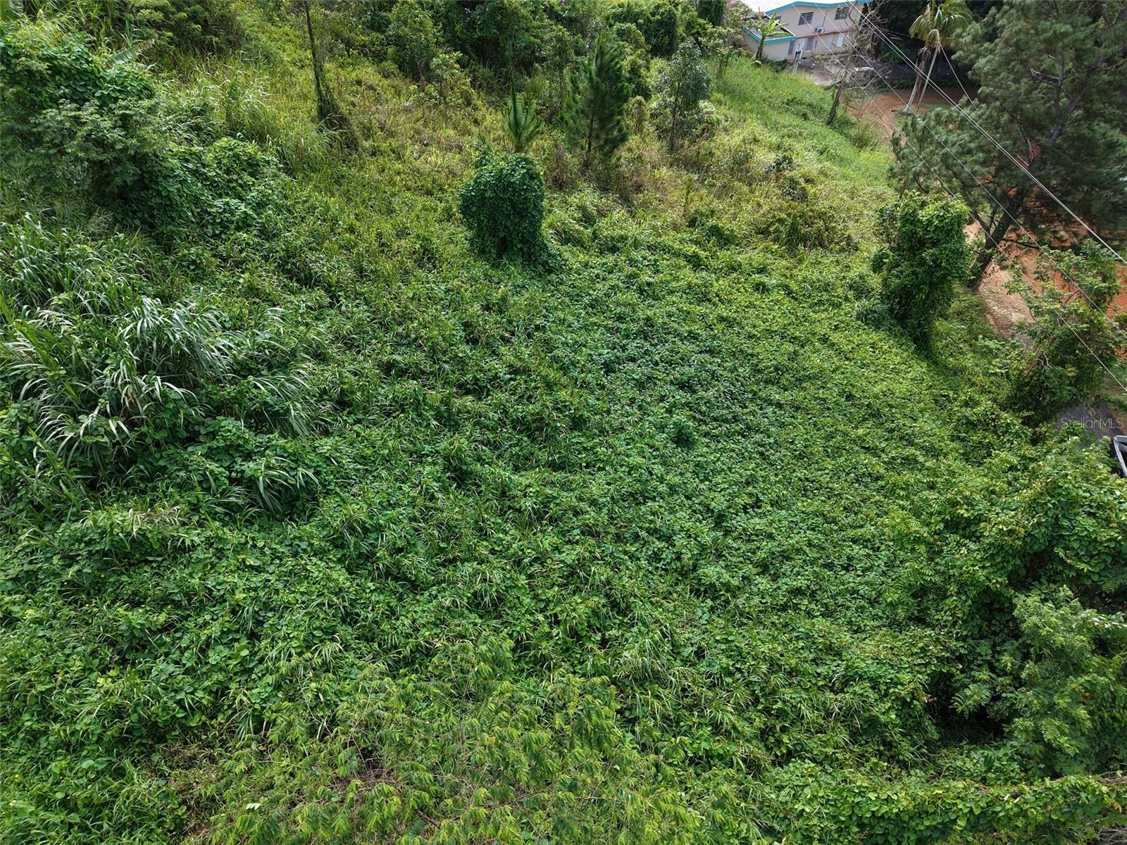 BARRANQUITAS — foto 4