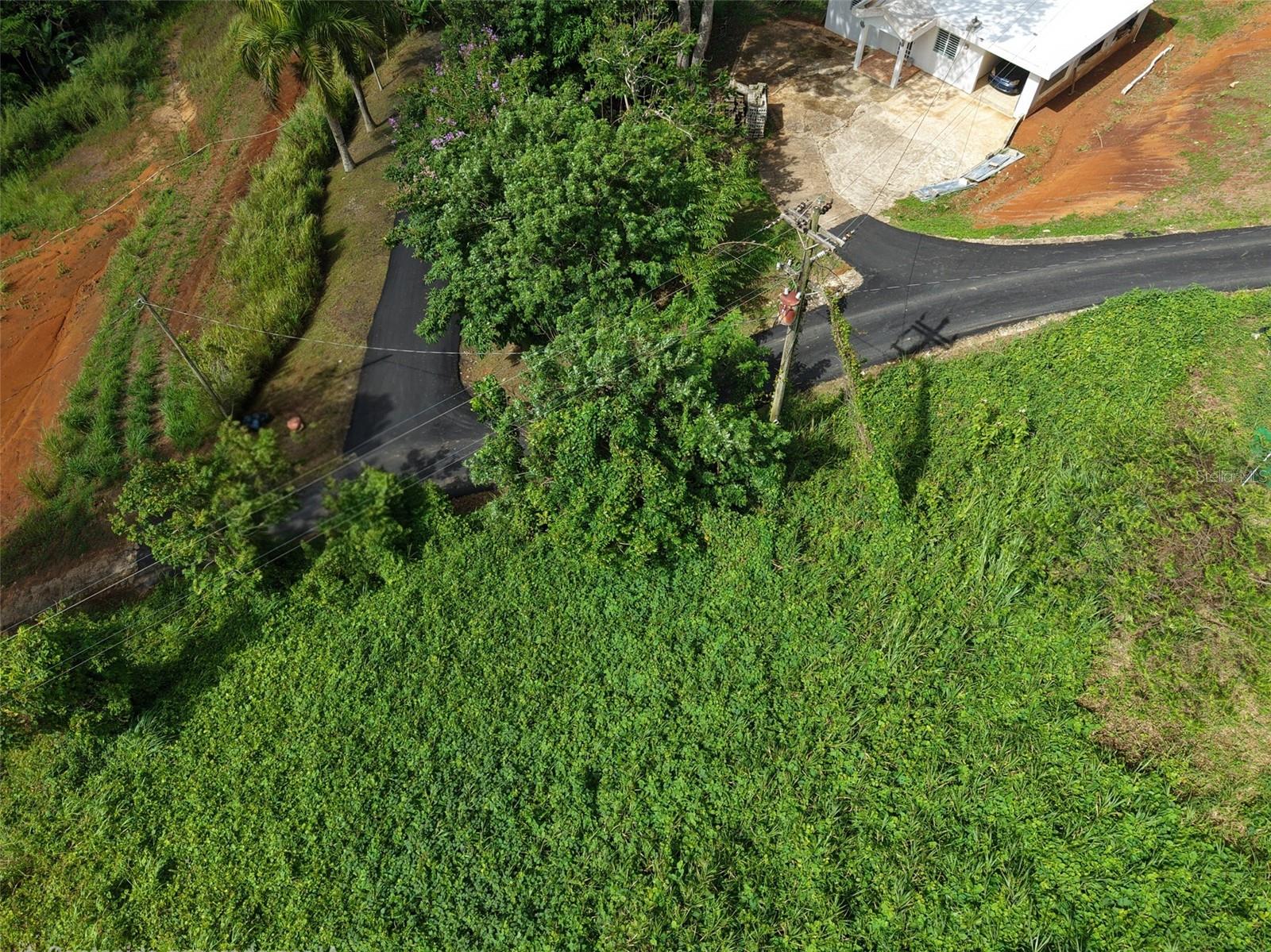 BARRANQUITAS — foto 5
