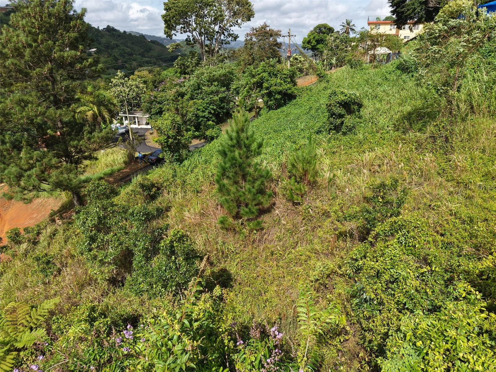 BARRANQUITAS — foto 8
