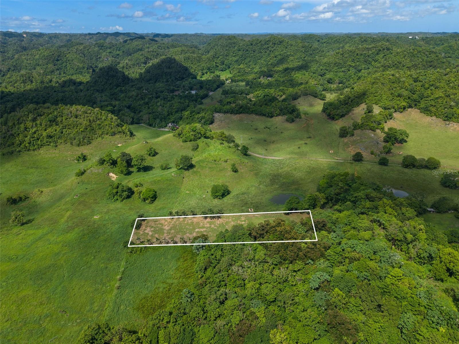 SABANA HOYOS