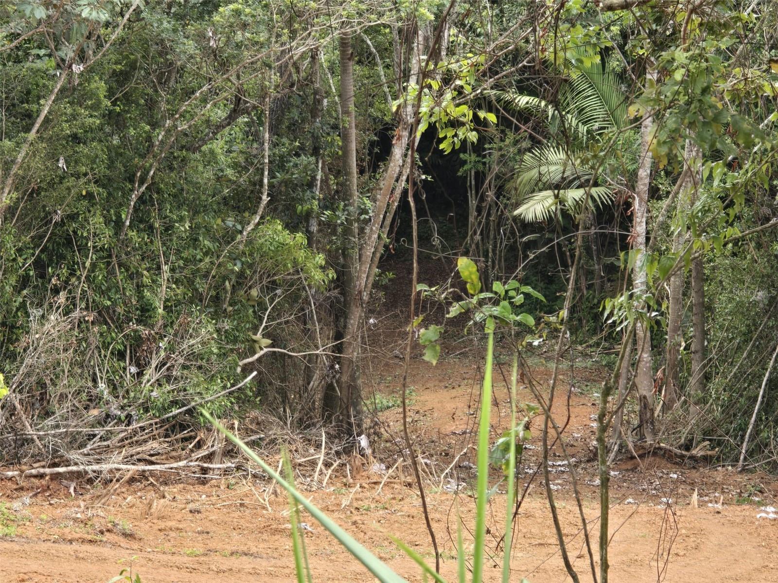 AGUAS BUENAS — foto 2
