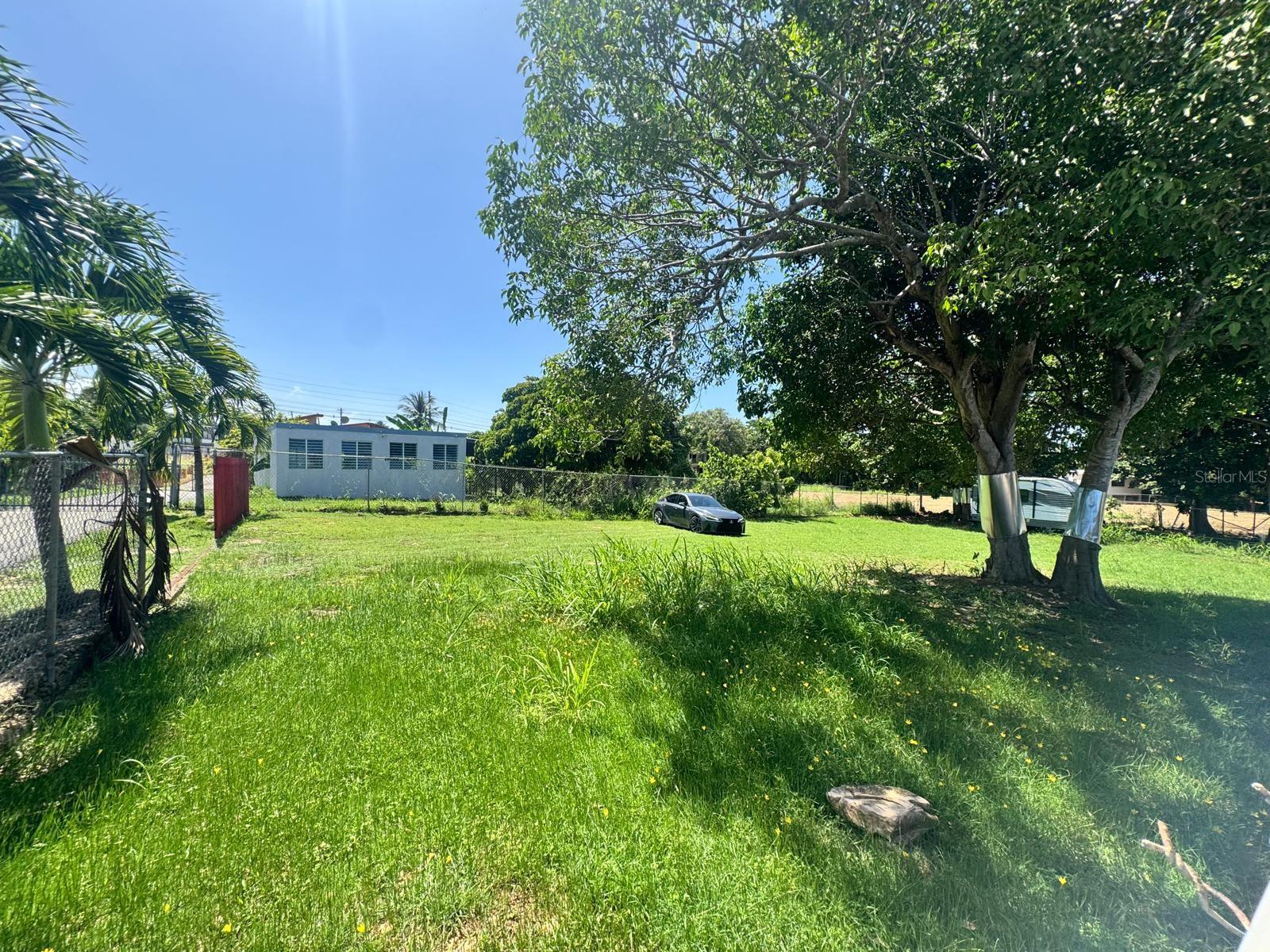 ISABELA